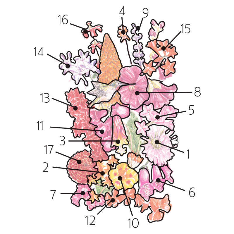 Product image of hummingbird flower mix seeds
