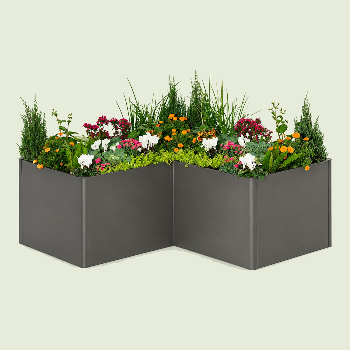 32-Inch-Tall L-Shaped Metal Raised Bed, 83 x 83 Inches on a soft green background