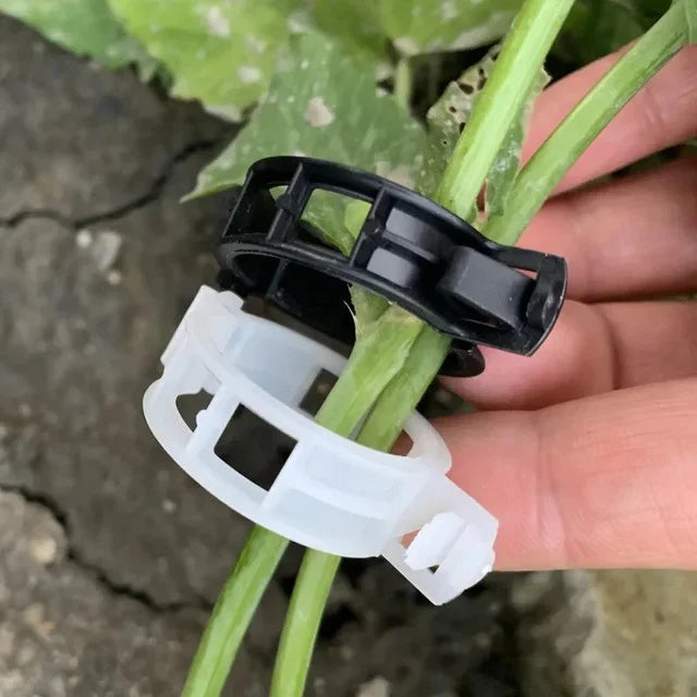 Product photo of plant support clips