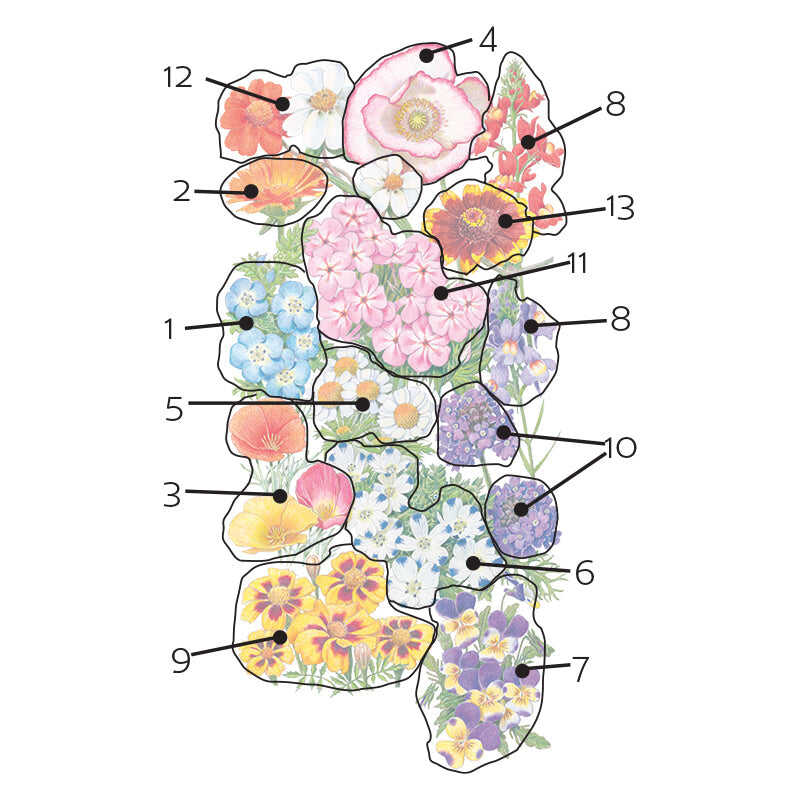 Product image of three season bloom flower mix seeds
