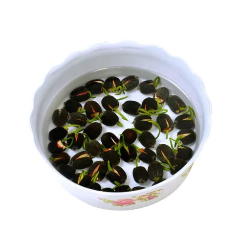 Product photo of bowl lotus seeds