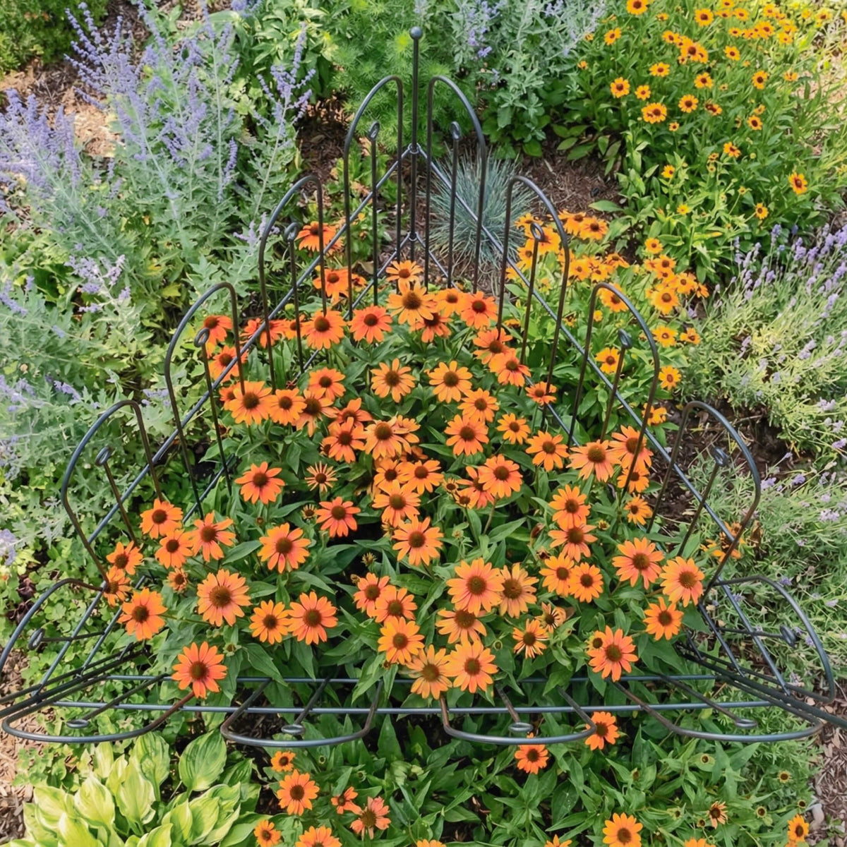 Garden Border Edging Fence, 3 Pack