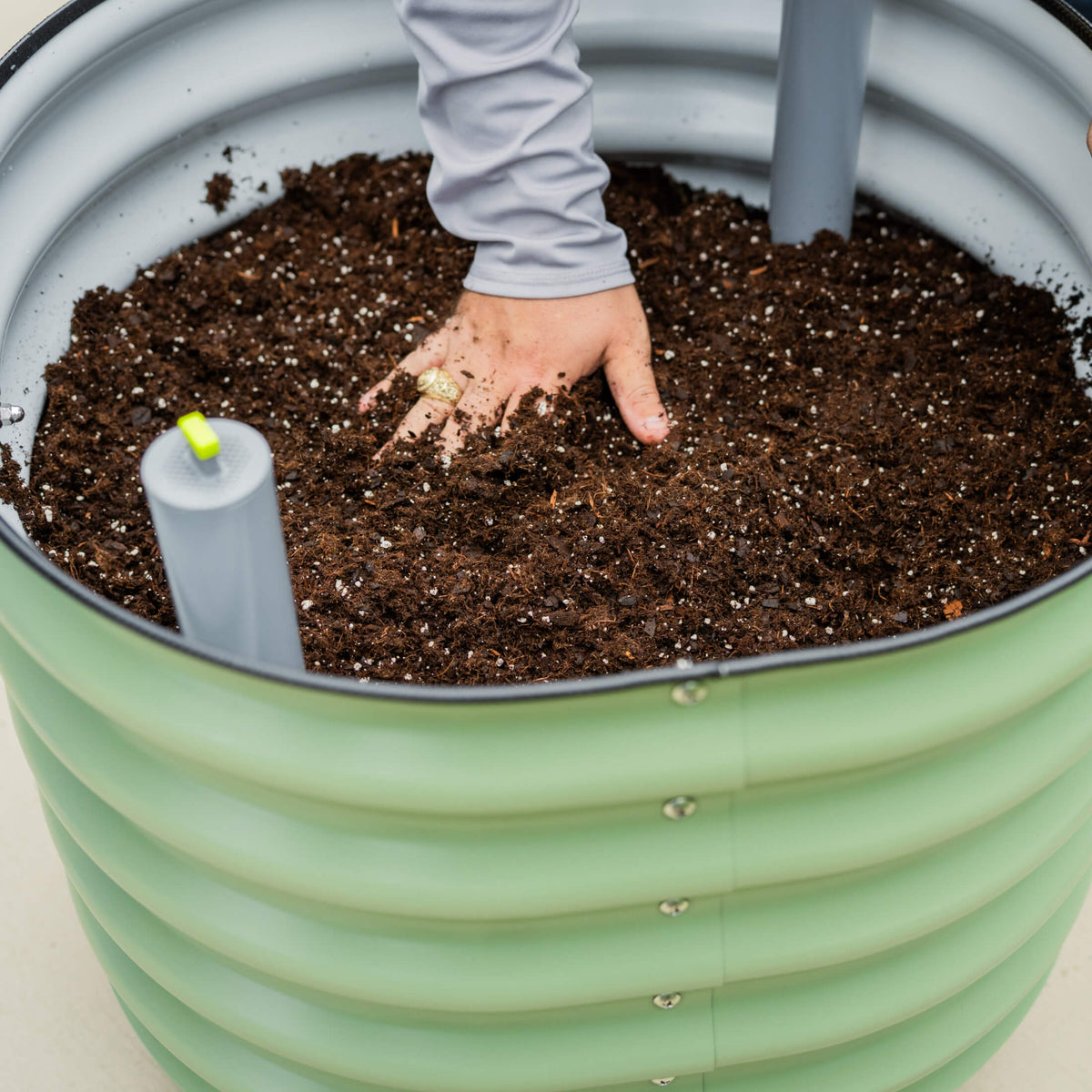 Rolling Citrus Tree Planter, 30 Gallons