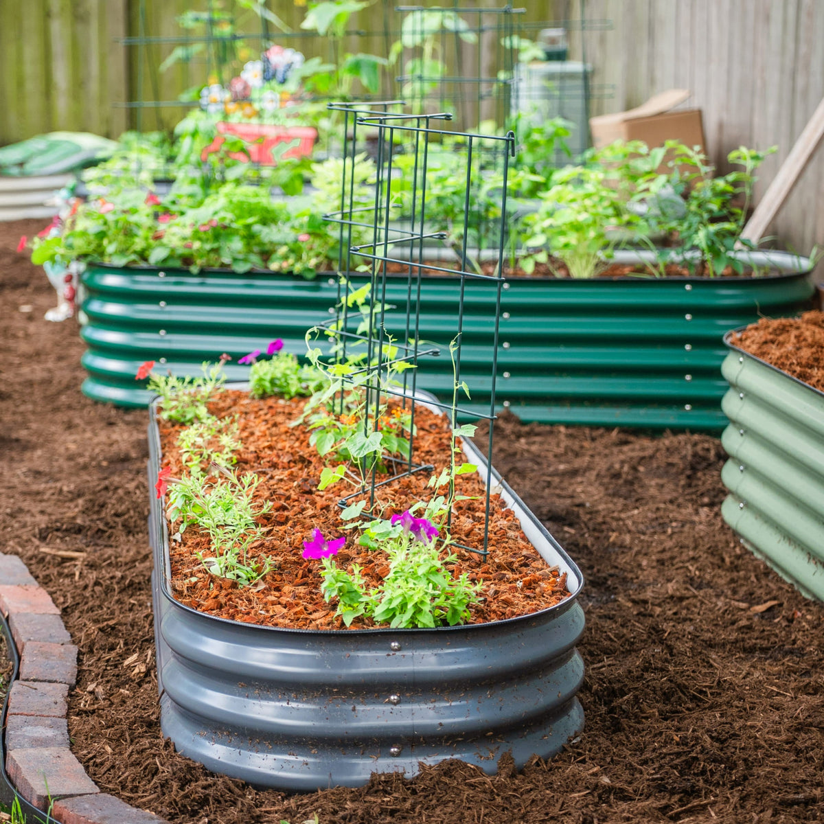 Product photo of modular square tomato cages, 14.5 inches