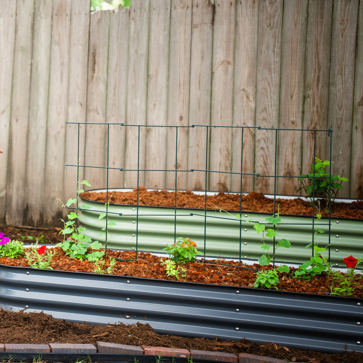 Product photo of modular square tomato cages, 14.5 inches