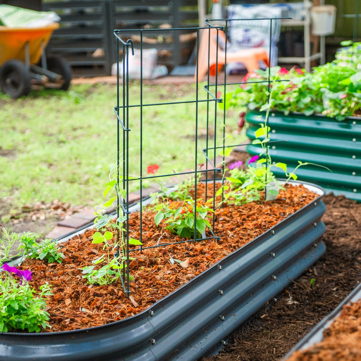 Product photo of modular square tomato cages, 14.5 inches