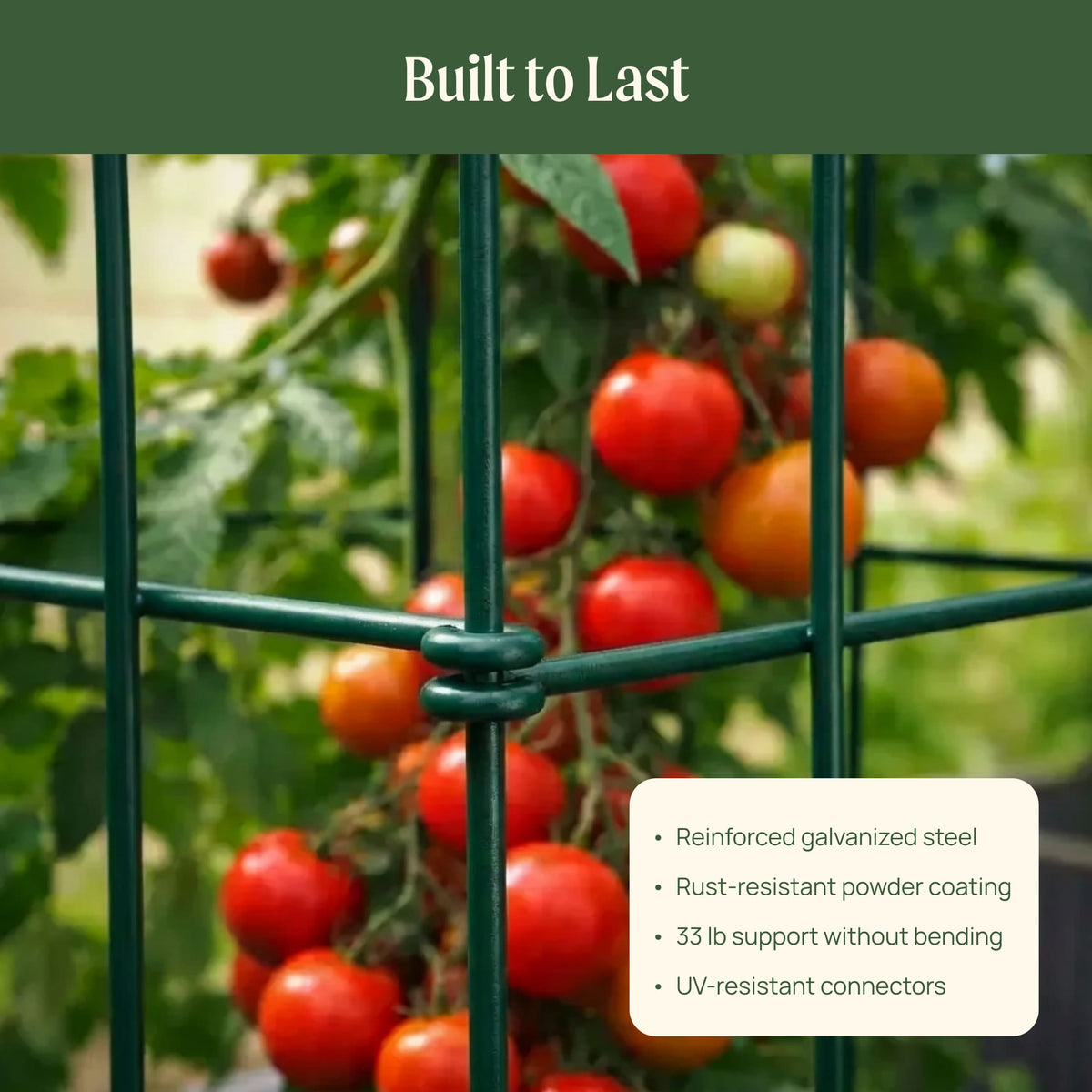 Product photo of modular square tomato cages, 11.5 inches