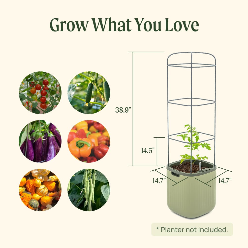 Adjustable Metal Trellis for Tomato Planter