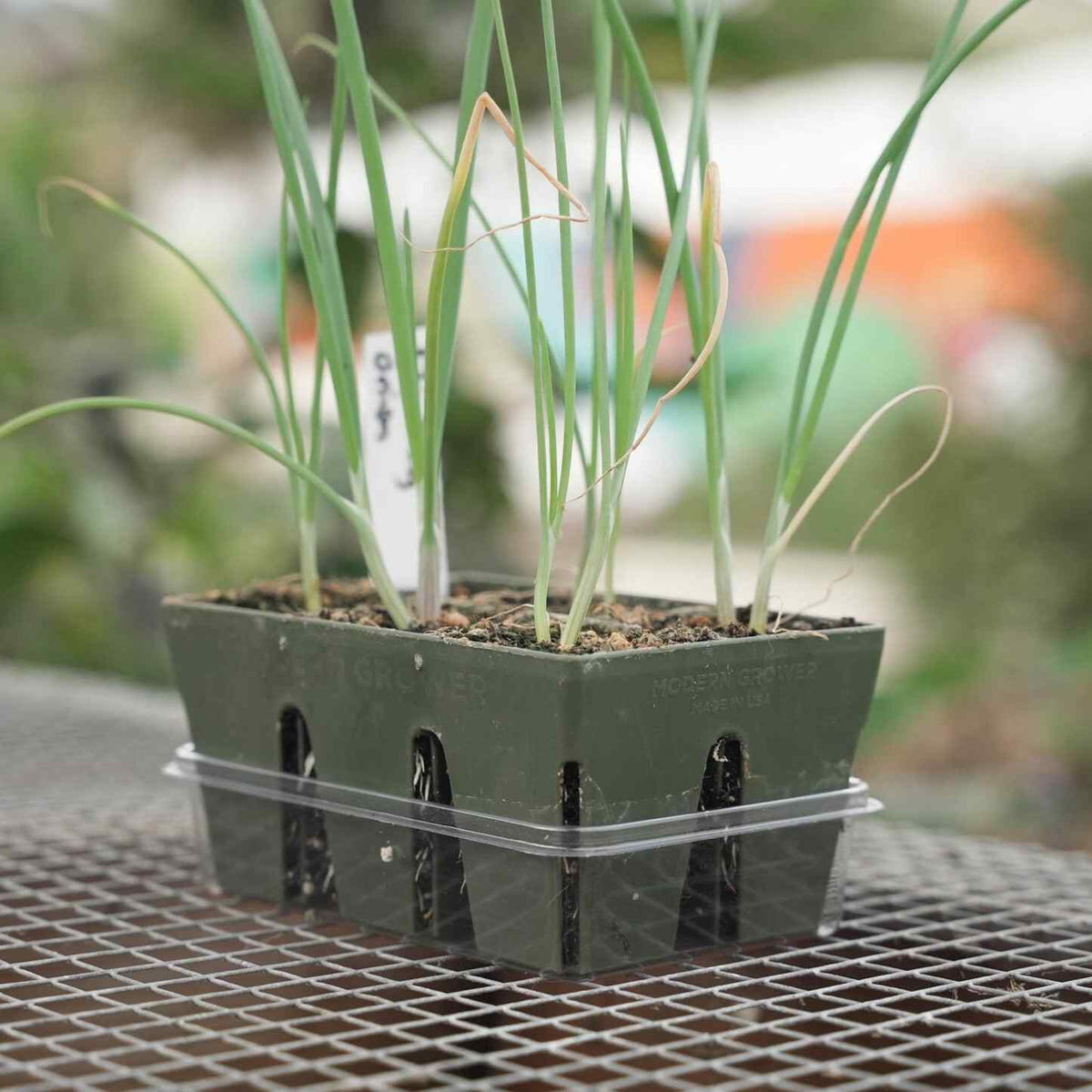 Humidity Domes And Bottom Trays