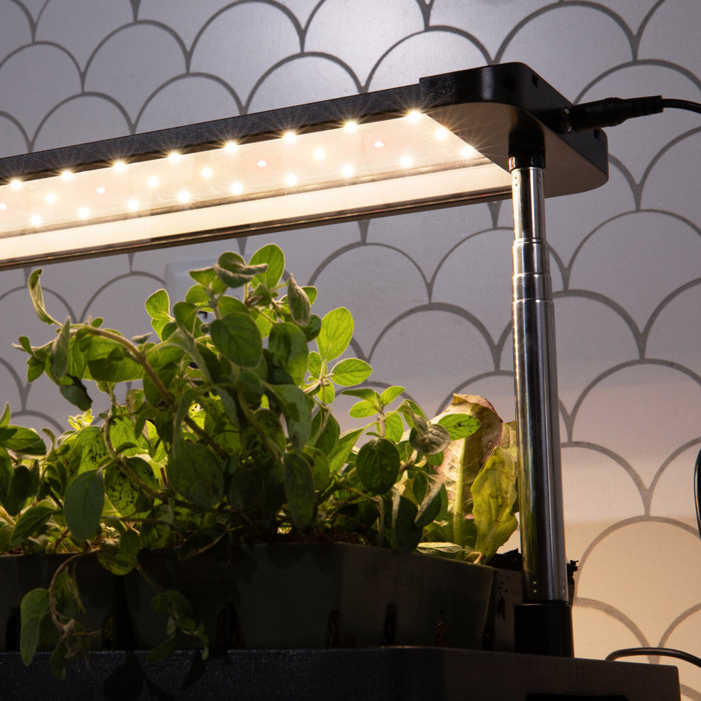 Countertop Grow Light With Tray