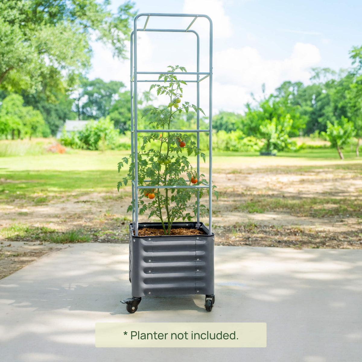 Metal Tomato Cage for Rolling Cube Planter