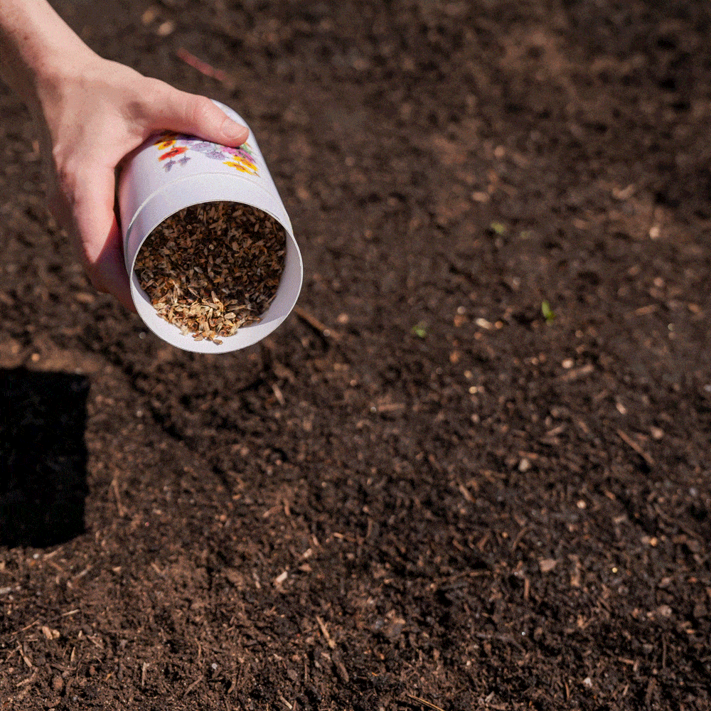 Product photo of midwest prairie flower mix seed shaker