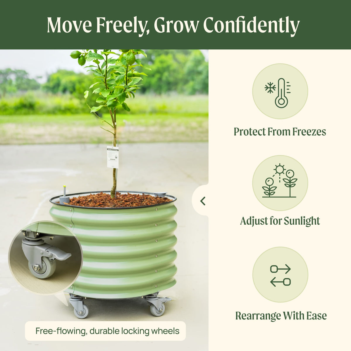 Rolling Citrus Tree Planter, 30 Gallons