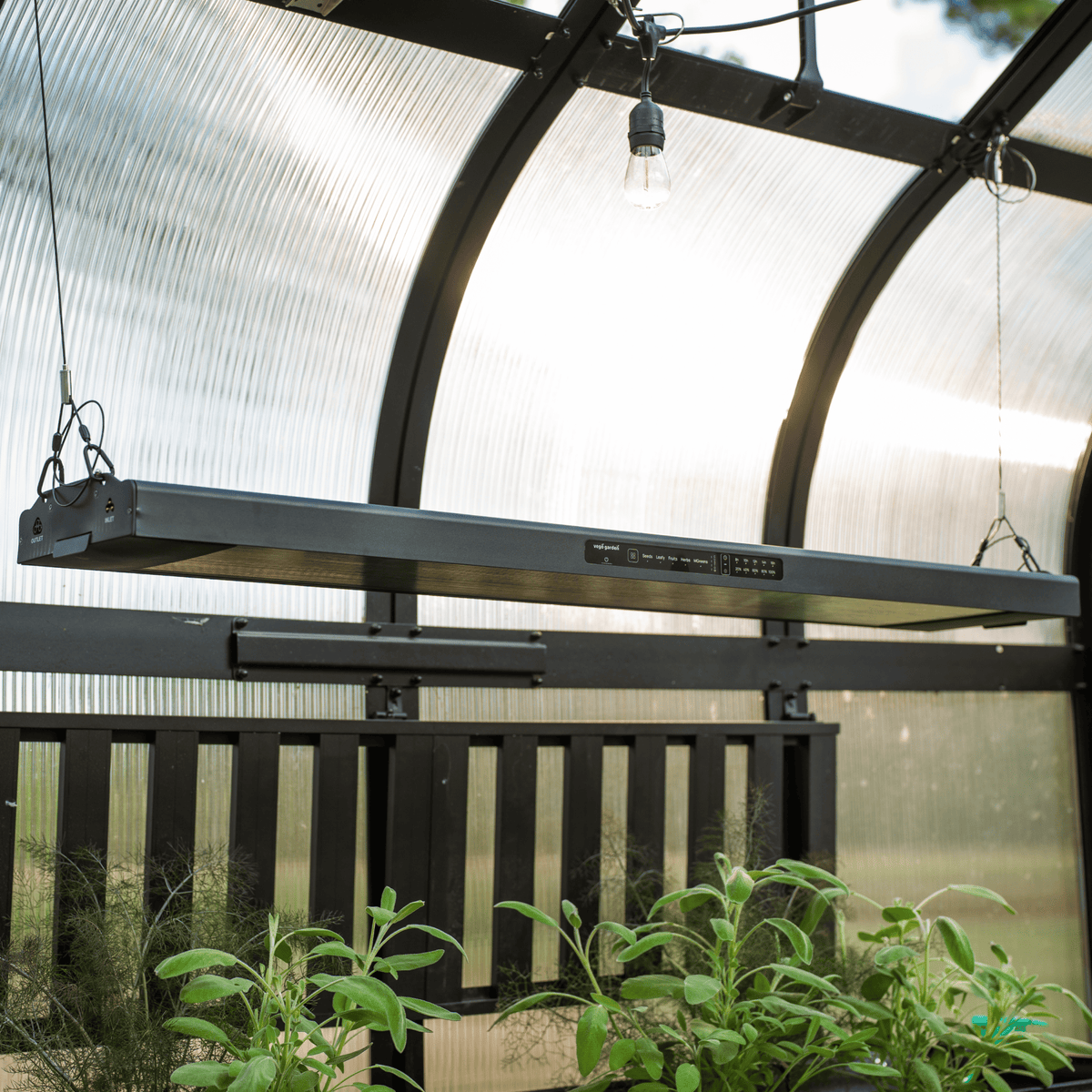 Product photo of adjustable grow light hanging kit