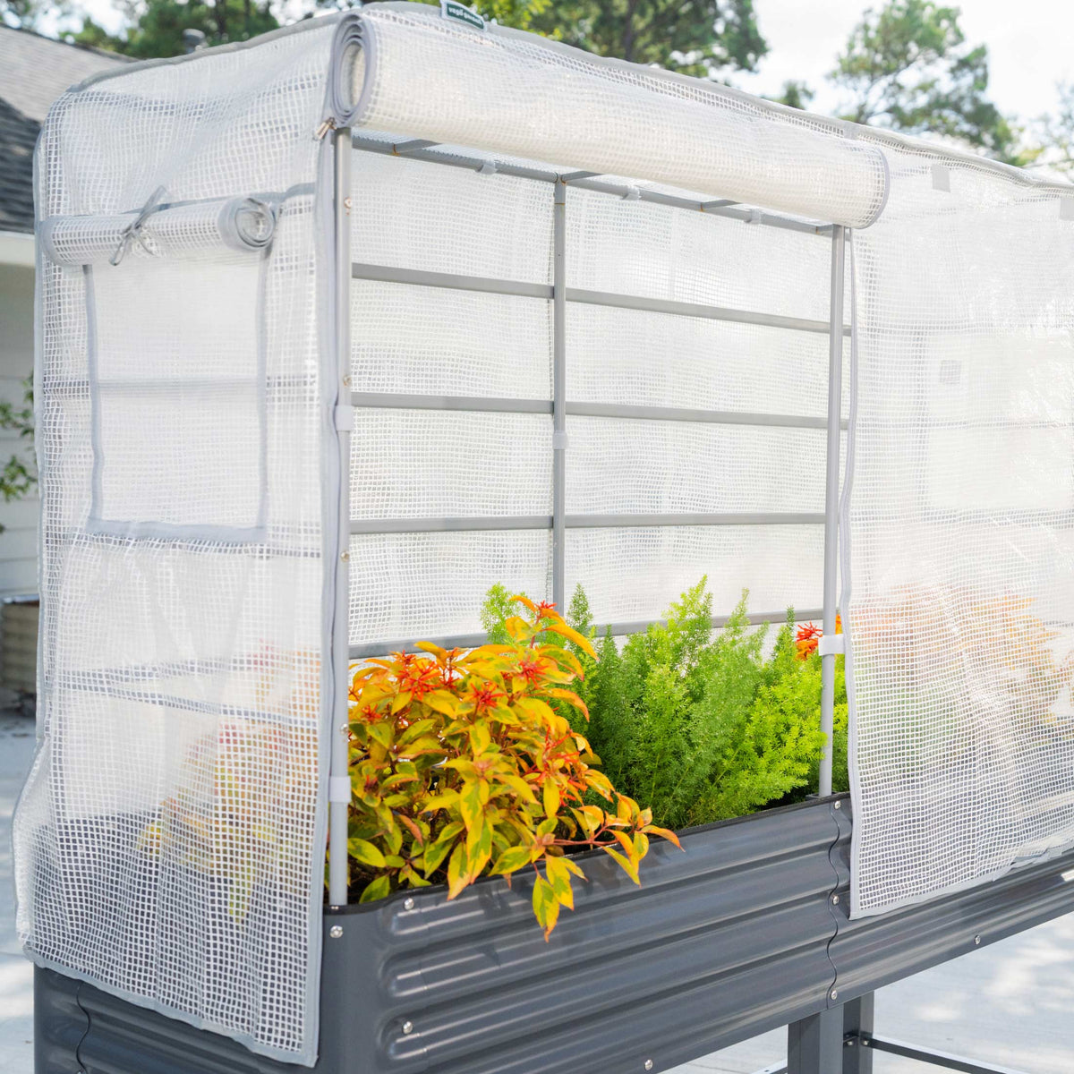 Product photo of frost cover and trellis for elevated beds
