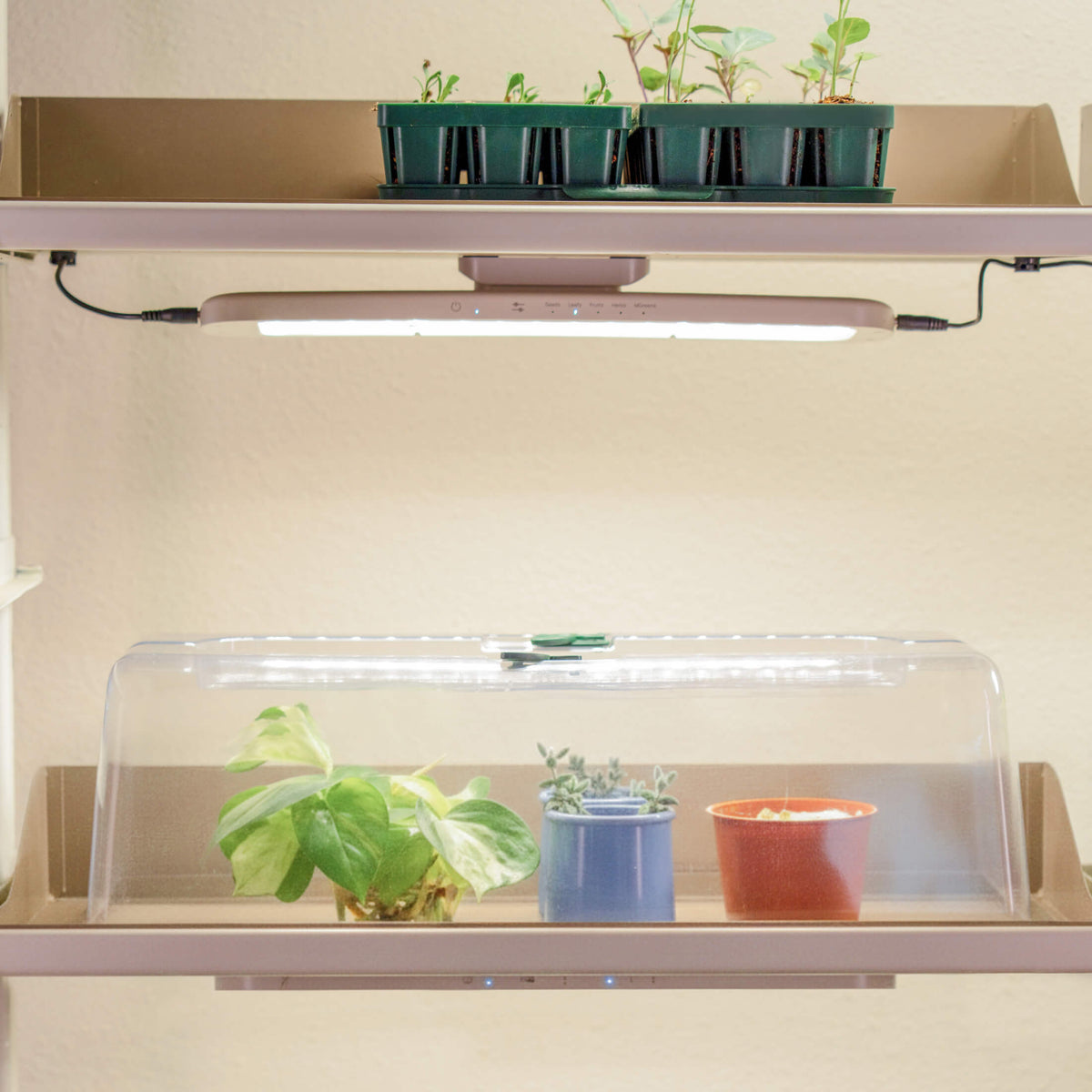 Product photo of grow light and potting tray conversion kit