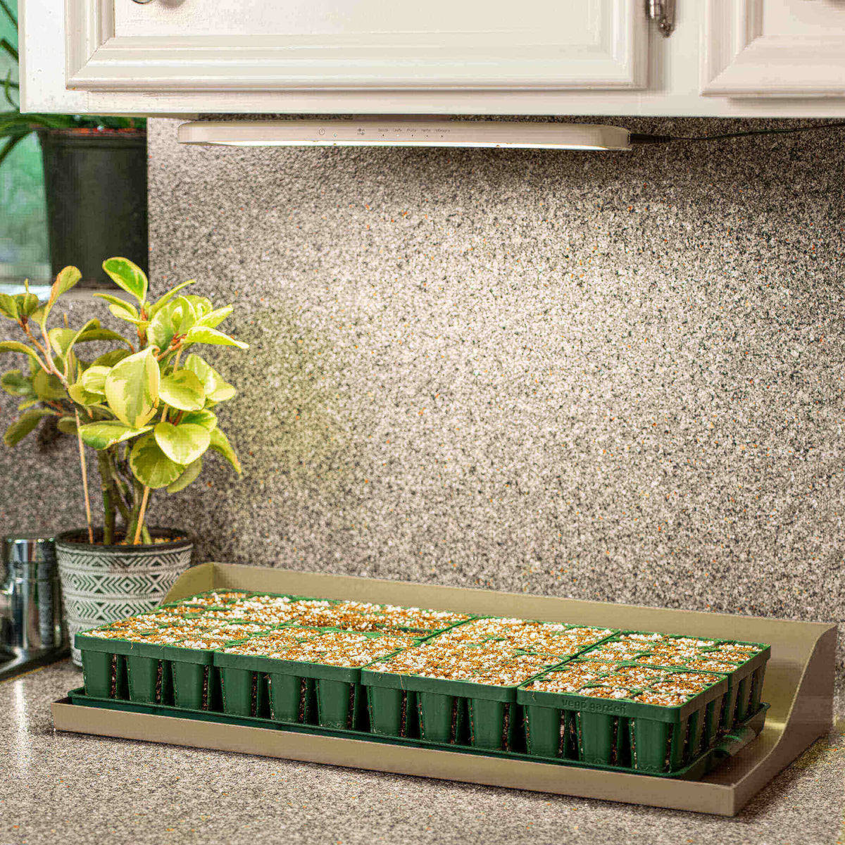 Product photo of grow light and potting tray conversion kit
