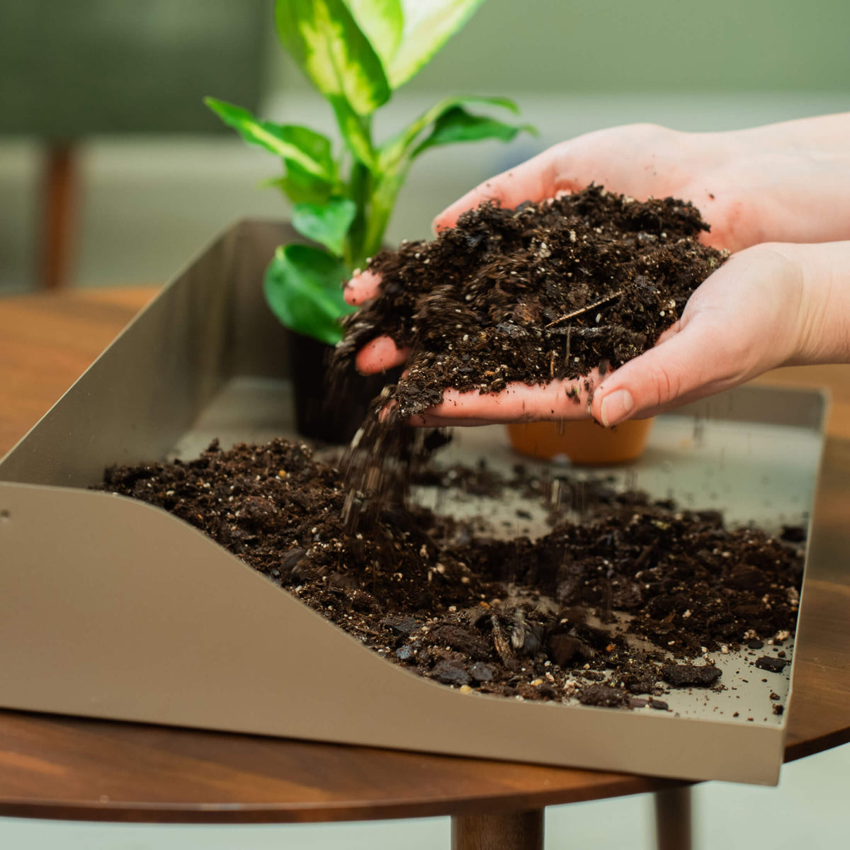 Product photo of grow light and potting tray conversion kit