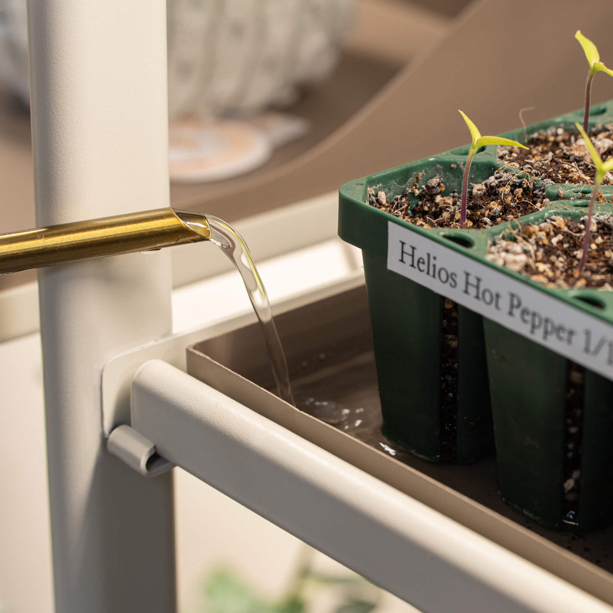 Product photo of grow light and potting tray conversion kit