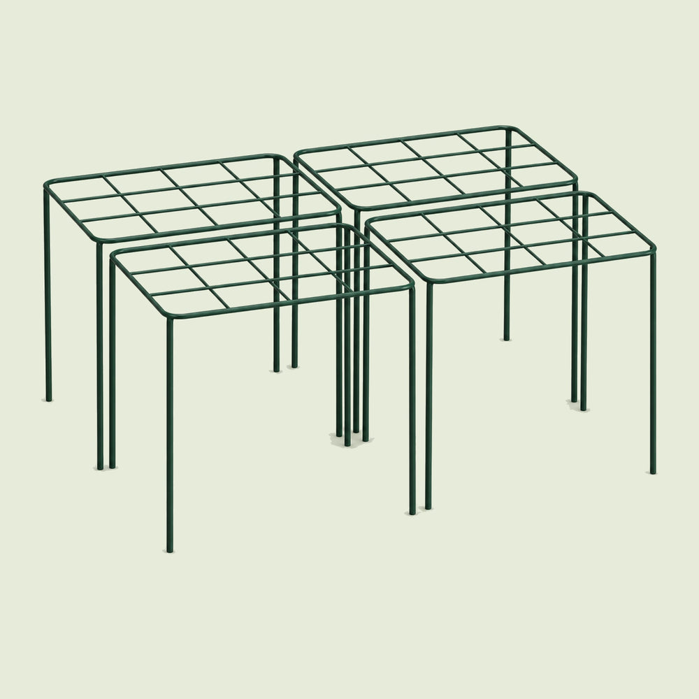 Grid Grow-Through Plant Supports, 4 Pack on a soft green background