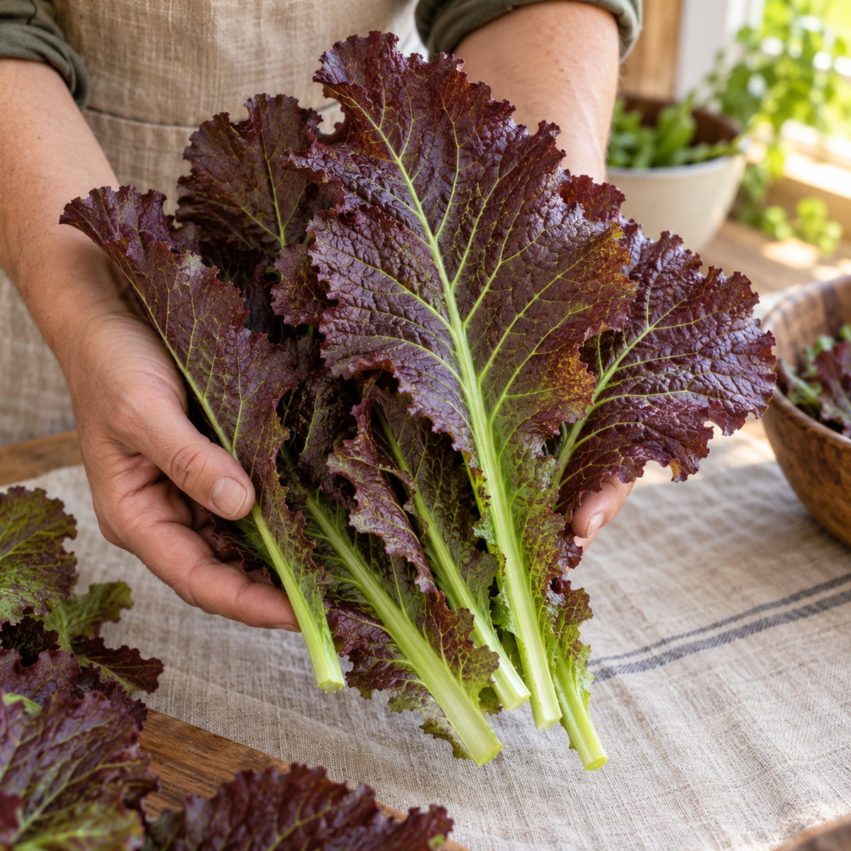 Red Giant Mustard Seeds harvest up close