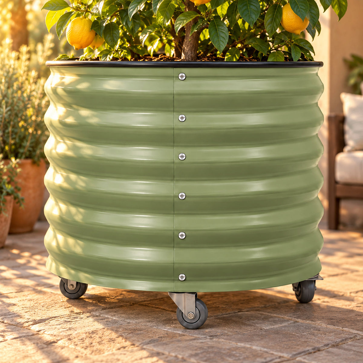 Rolling Citrus Planter, 45 Gallons detail