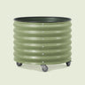 Rolling Citrus Planter, 45 Gallons on a soft green background