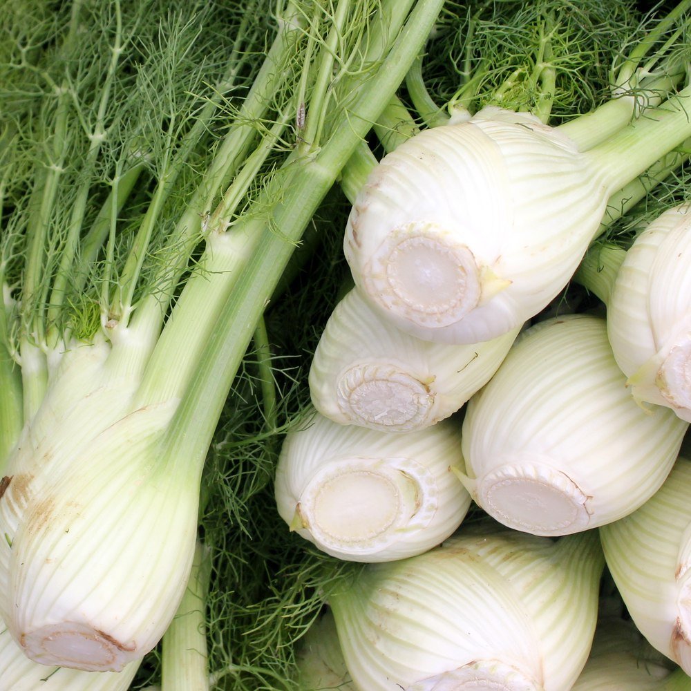 Romanesco Fennel seeds