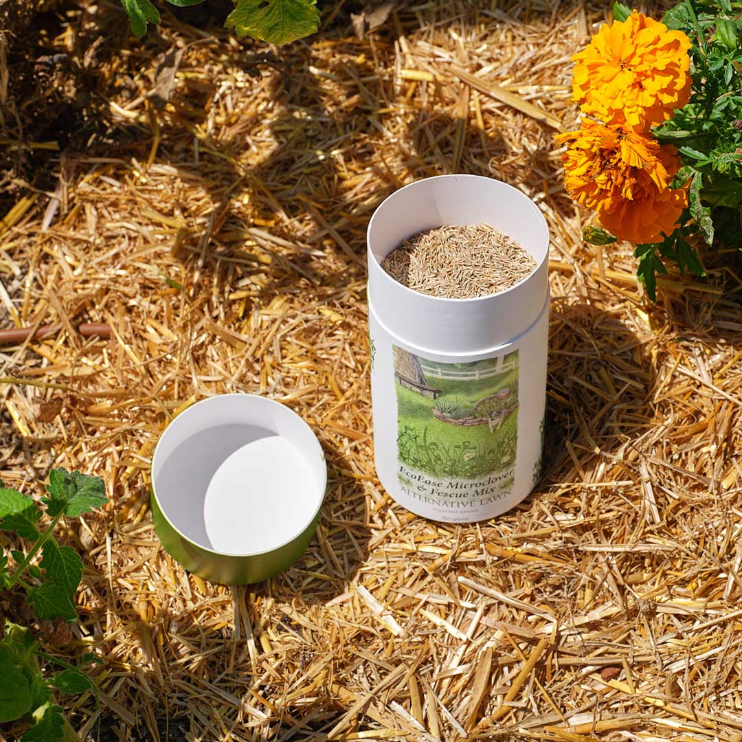 Microclover and Fescue Lawn Mix Seed Shaker