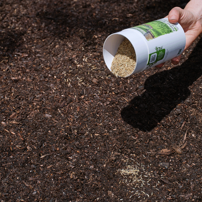Microclover and Fescue Lawn Mix Seed Shaker