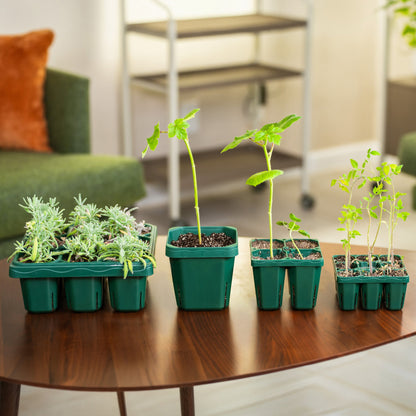 Seedling Pots, 5 x 5 Inches, 8 Pack