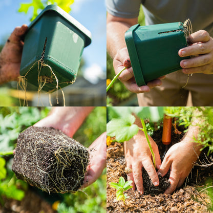 Seedling Pots, 5 x 5 Inches, 8 Pack