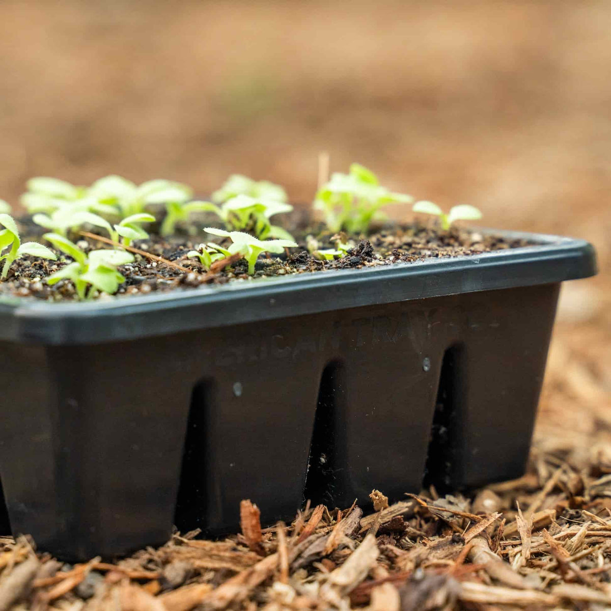 16 Cell Seed Starting Trays