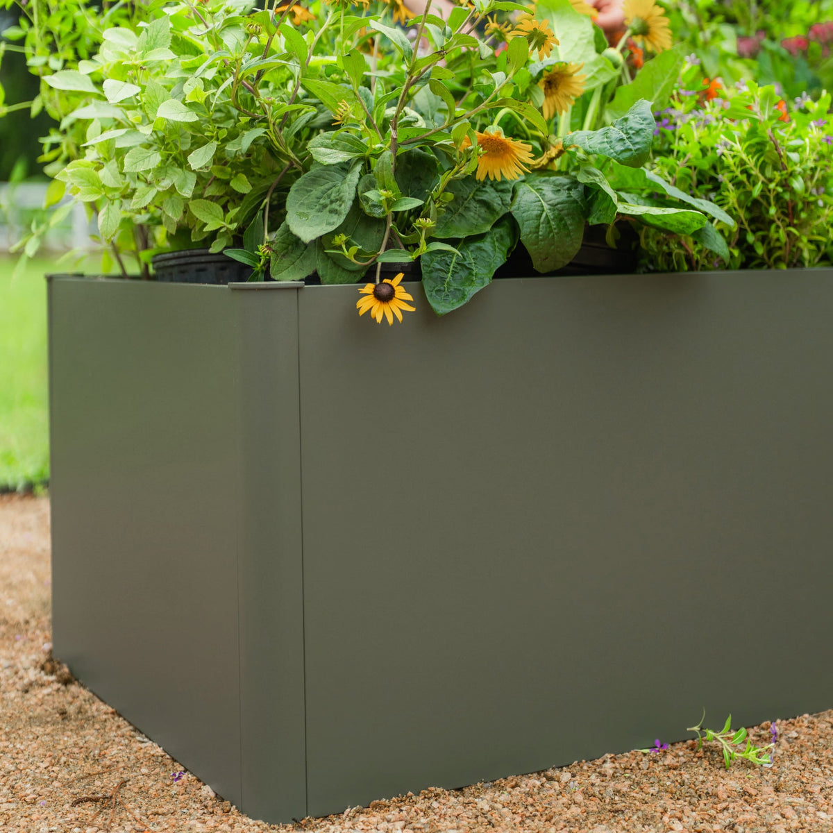 17-Inch-Tall Metal Raised Bed, 2 x 4 Feet