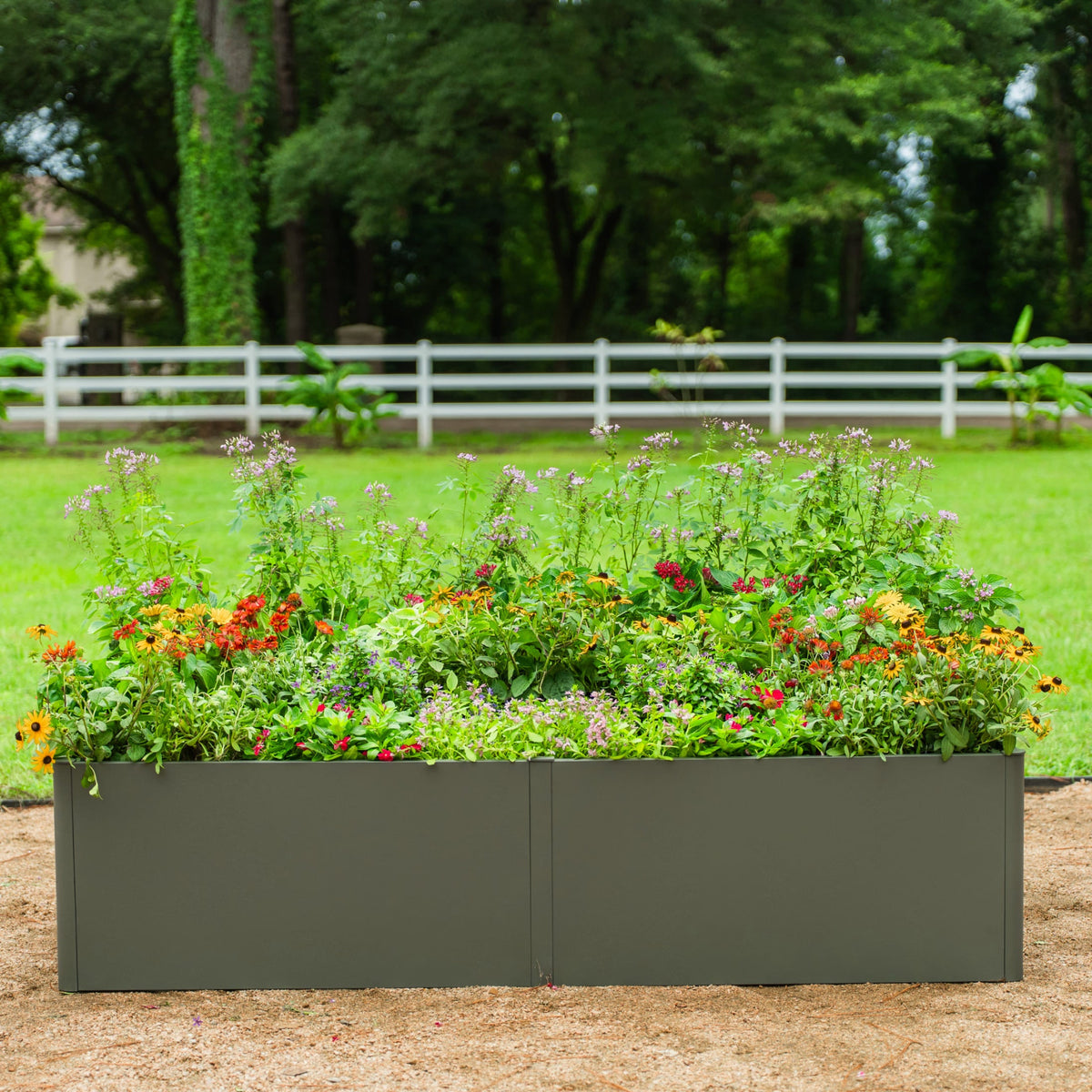 17-Inch-Tall Metal Raised Bed, 3 x 6 Feet