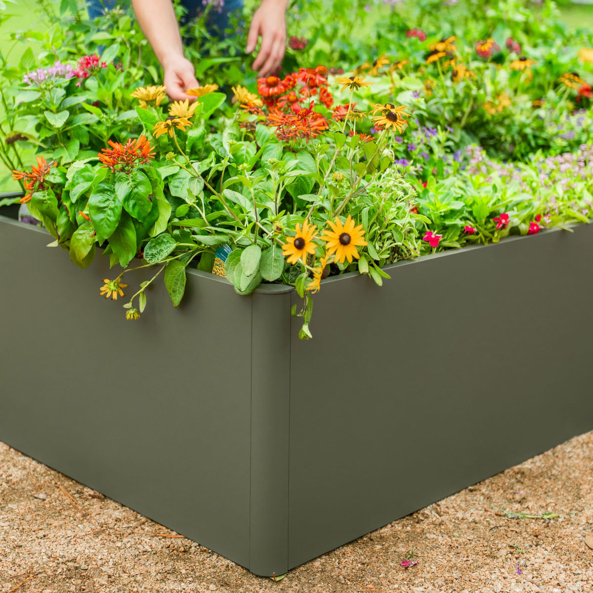 17-Inch-Tall Metal Raised Bed, 3 x 6 Feet