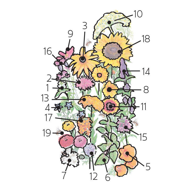 Product image of bee friendly flower mix seeds