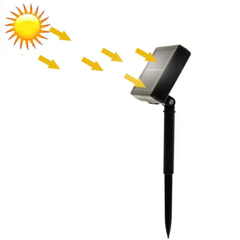 Product photo of solar string lights