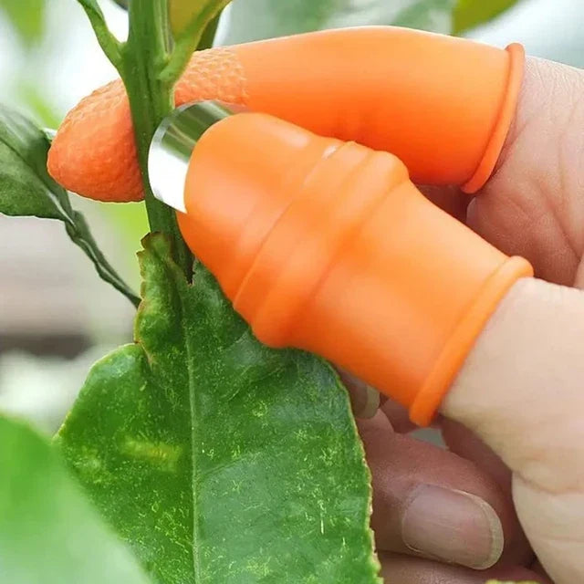 Product photo of fruit picking thumb blade set