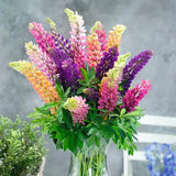 Product photo of lupine seeds