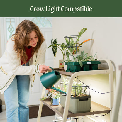 Three-Tier Plant Stand