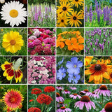 Product photo of wildflower seed mix