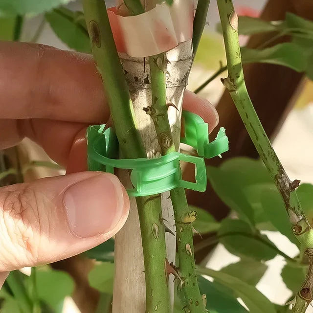 Product photo of plant support clips