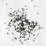 Product photo of mixed moss rose seeds