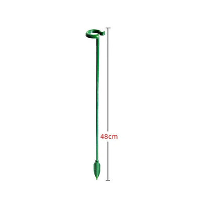 Product photo of plant support stakes