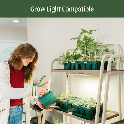 Four-Tier Plant Stand