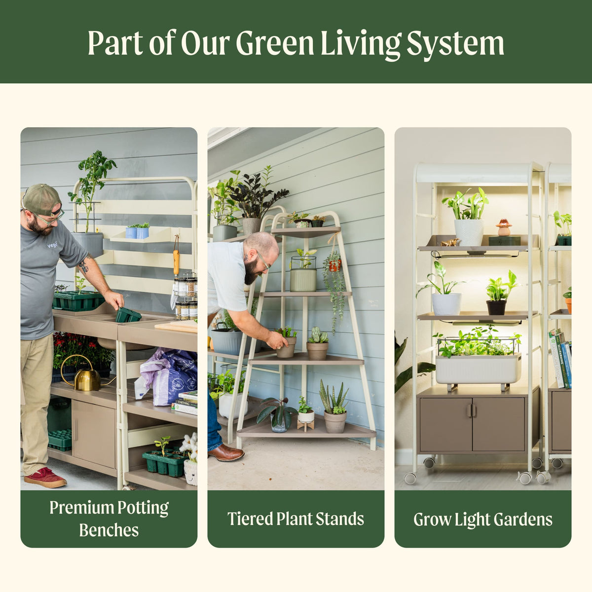 Four-Tier Plant Stand