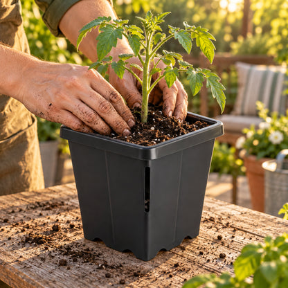 5 Inch Seedling Cube Pot in use in a home garden