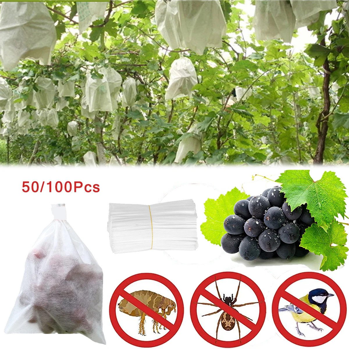 Product photo of fruit and grape protection bags