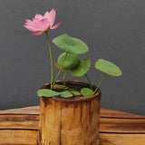 Product photo of bowl lotus seeds